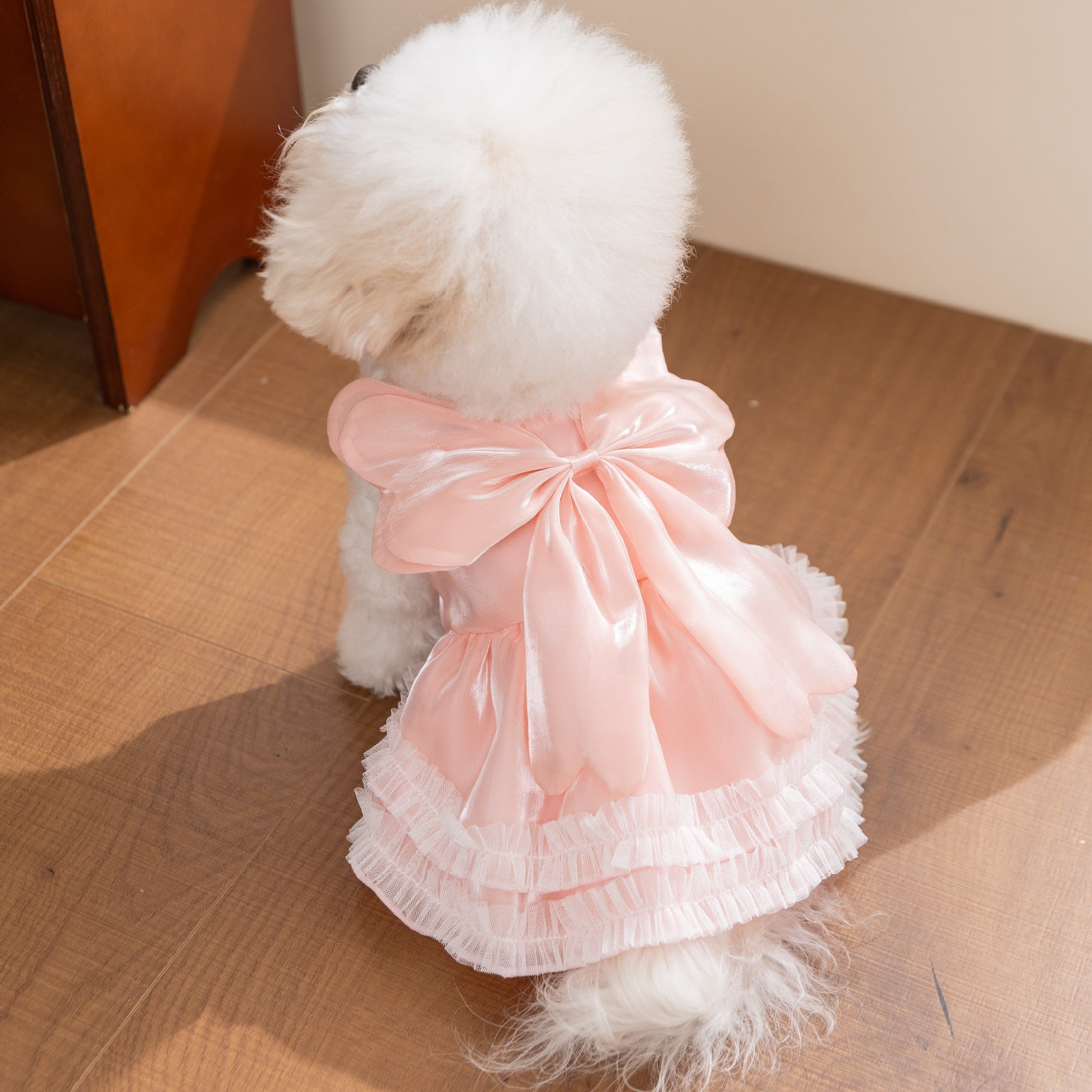 45f52e84-07f6-417b-859e-f9ac5b152cce