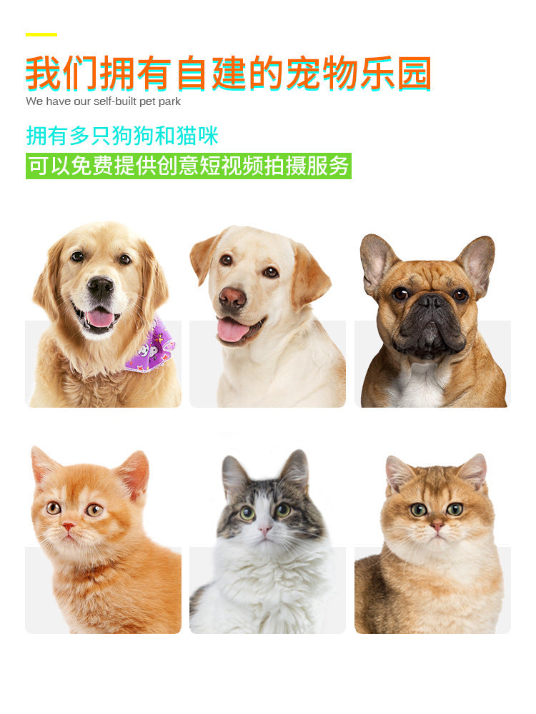 74cf0f87-c5a8-4505-bfce-984184972b1f