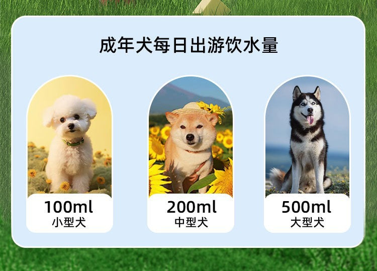 60bc2132-7cfa-482b-8e21-a5e6a9ea9acc