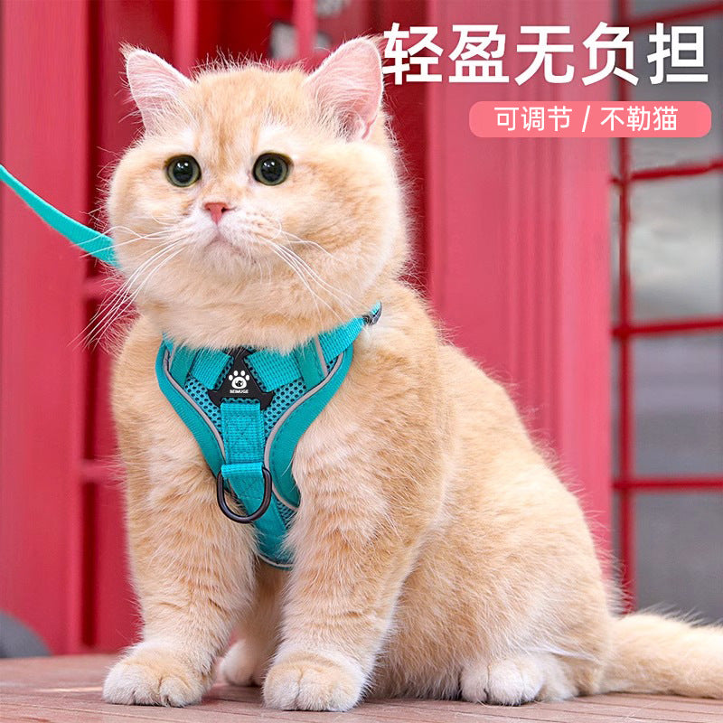 7dbae5d1-b2dd-435f-93a2-b1317c2fb556