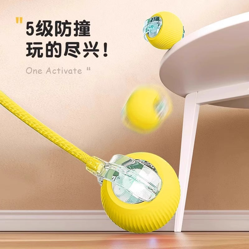 Smart Rolling Interactive Dog Toy Ball”。