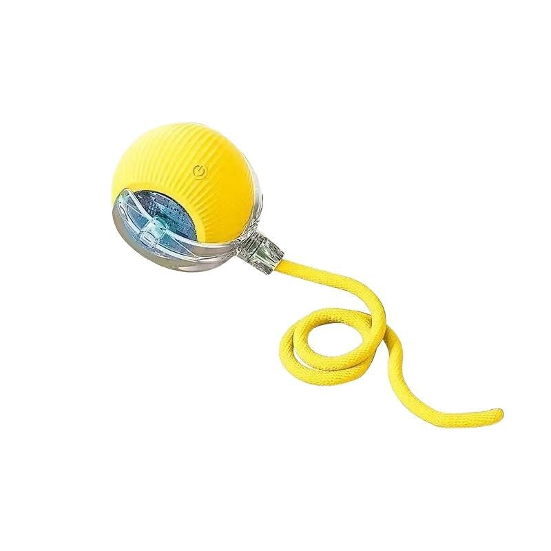 Smart Rolling Interactive Dog Toy Ball”。