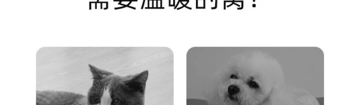 ae9e0647-23c8-46c0-960f-833e09bbf010