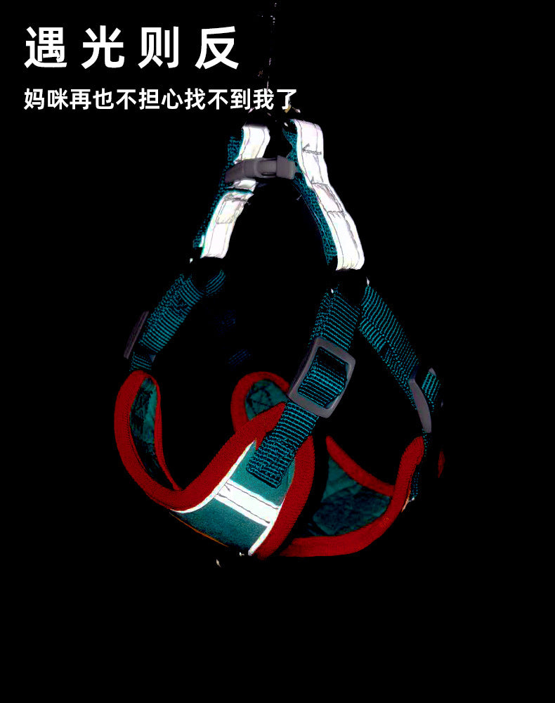 da405e98-c42f-448e-94d5-4555d9f614ad