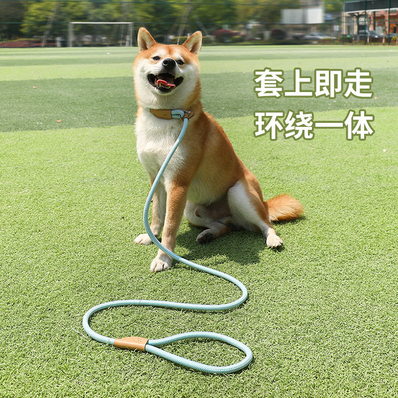 30b23096-ccff-434e-ac7b-a3e86dca1f09