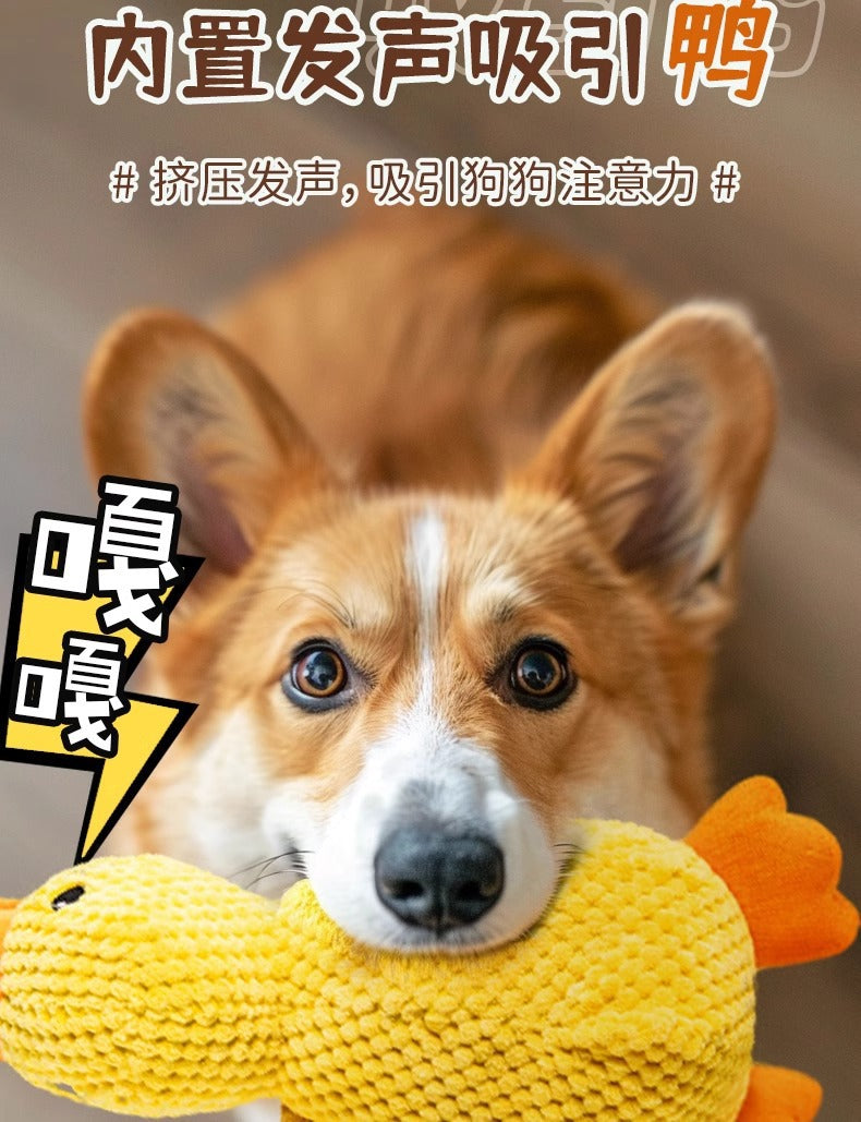 e68097db-1838-4e09-a719-5942835c271d