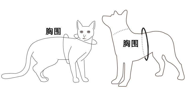 88b47129-808e-47e4-b62c-efbb45a1c1a8