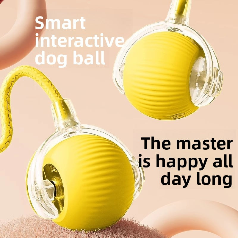 Dog toy ball, automatic dog walking device, smart electric dog teaser, durable and chew-resistant, a pet dog self-entertainment and boredom-relief gadget