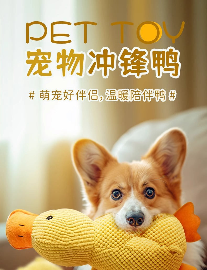dc8f56d8-6c3b-4542-909a-c98a7f13ea36