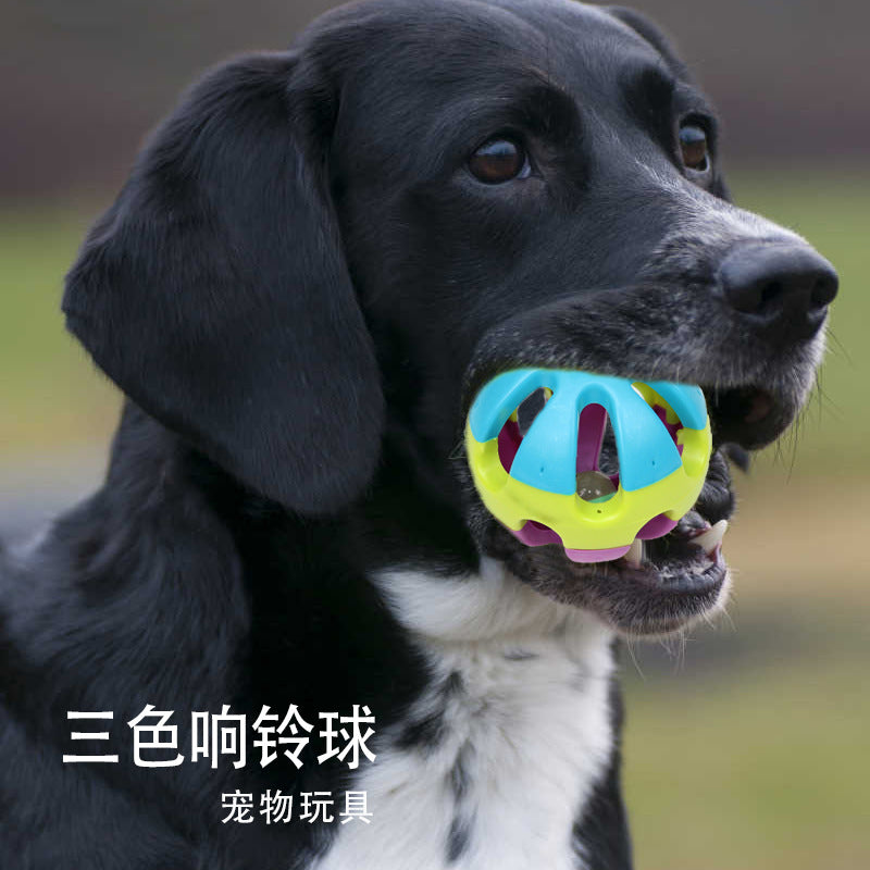 d7d31c94-7952-4d93-a766-80c39b1df838