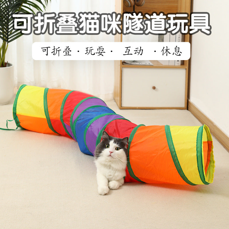 ca07c8f1-f40e-478b-825b-3aafaed87513