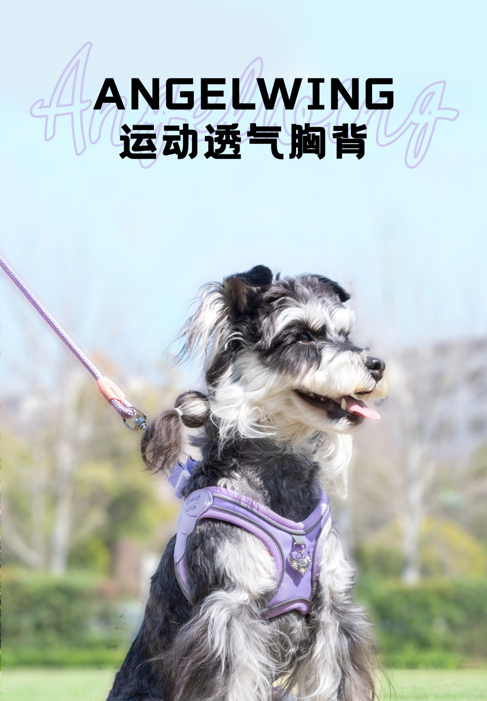 f1022b97-483b-48aa-a513-b95f7d06faba