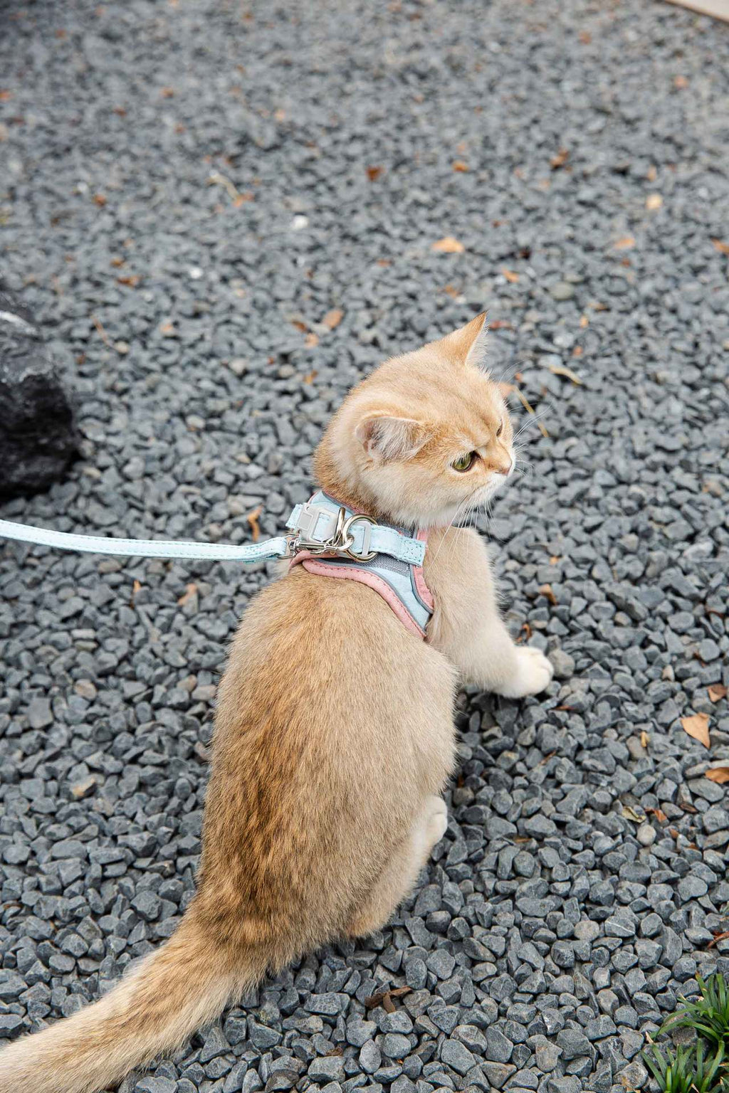 164eeca1-336f-4a88-95d9-7998195956ce