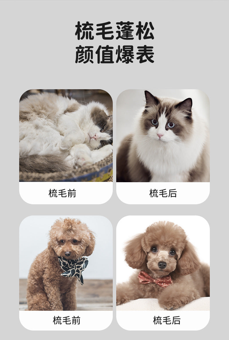 abd43819-a2e3-4701-a2c7-91f381c7dd46