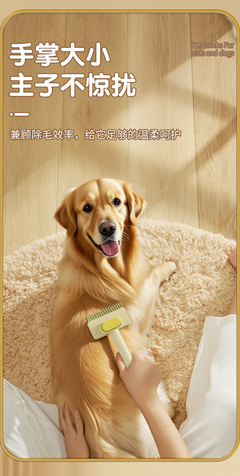 c98e0ff1-b86b-4391-80be-2634d0fe9294