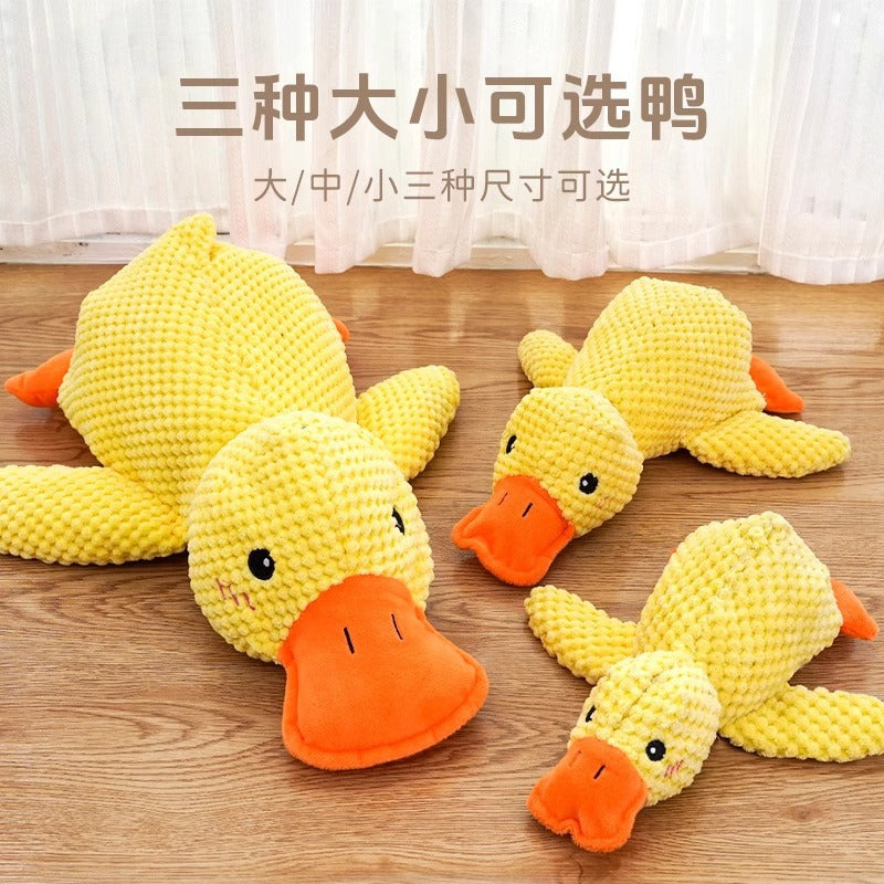 46b31b9c-bfb2-453a-9476-d7e5fce3f986