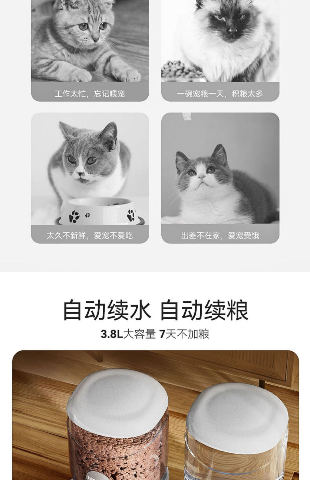 fa7992e0-2c79-4551-bd51-b5f880bf773b