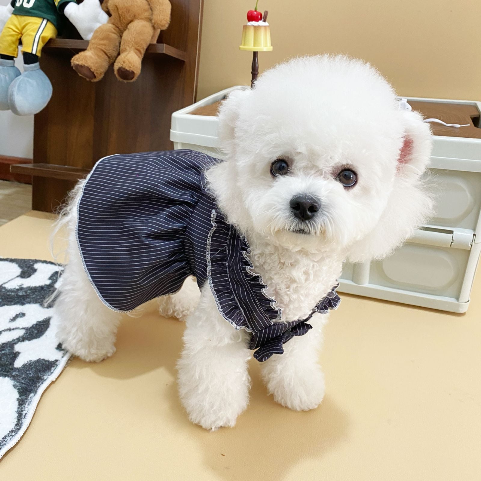43324ed2-f654-470e-9347-7a8351d063cd