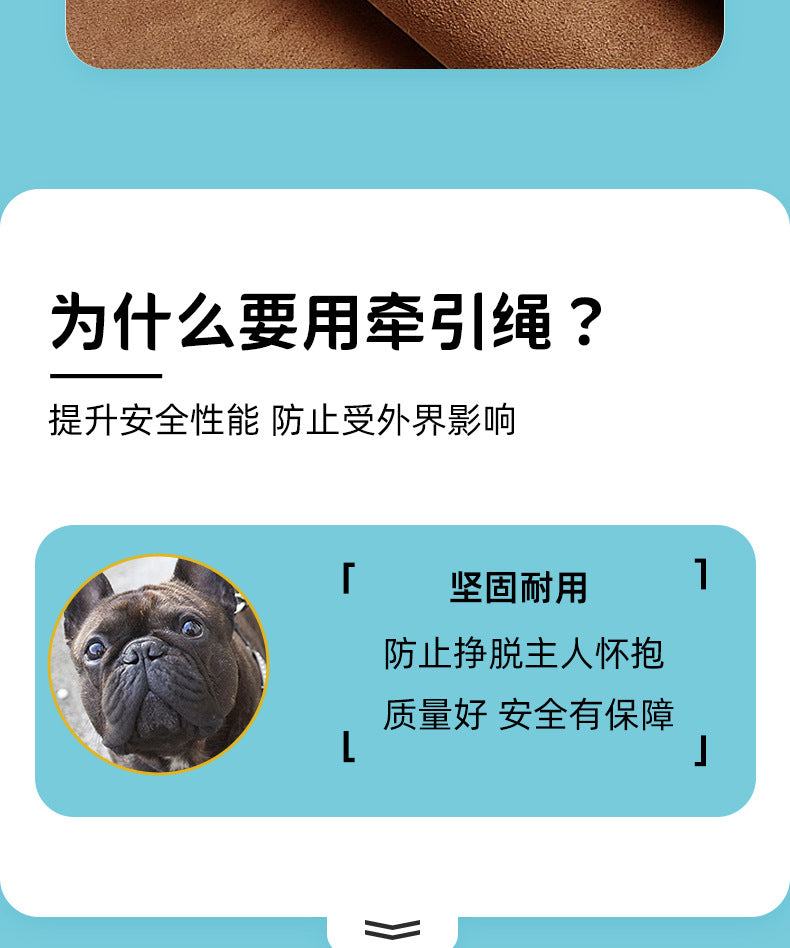 02f2ca92-aa1a-45dd-9cb2-6295066d77b4
