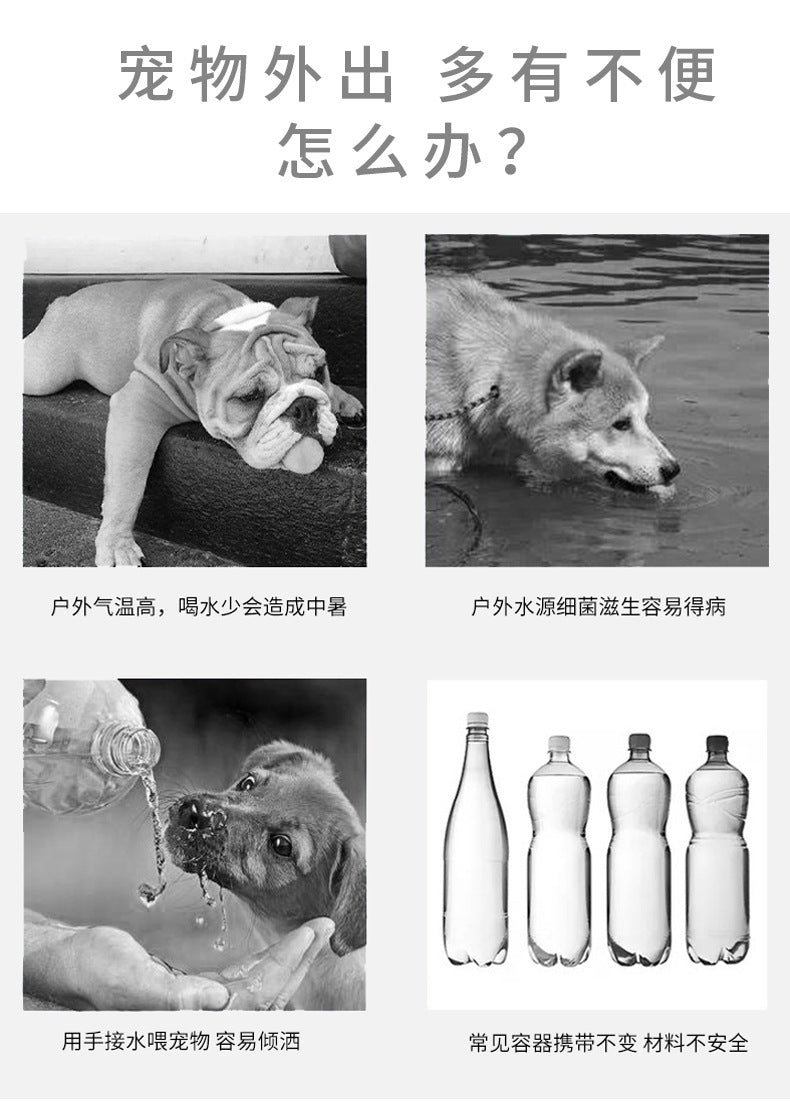 8105e24e-8d76-48d6-a924-67044a241a09