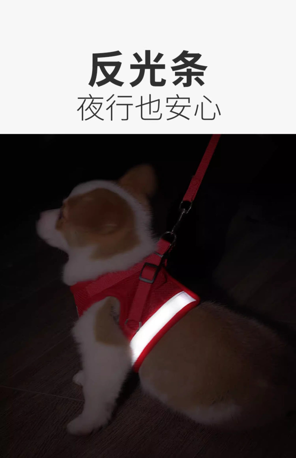 c6e7a1a2-691c-4037-b89d-d64f2de7b1bc