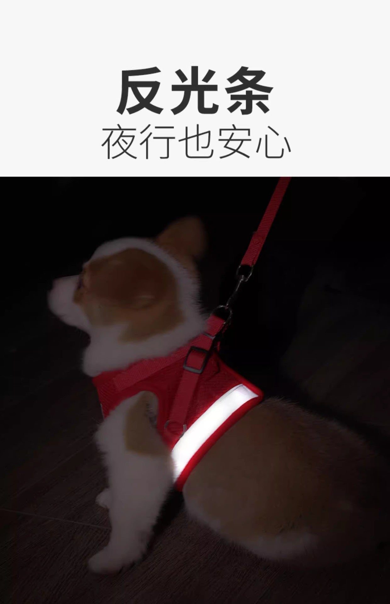 c6e7a1a2-691c-4037-b89d-d64f2de7b1bc