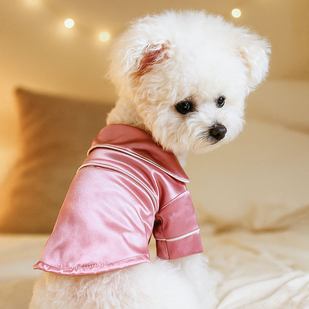 d7281349-1bda-4736-ac26-08e0f29f54a8