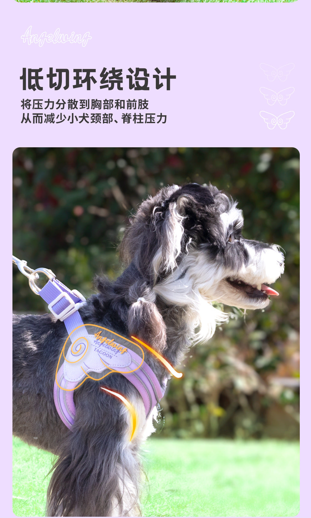 1f115041-698a-4382-a49f-24aa30ec8a9f