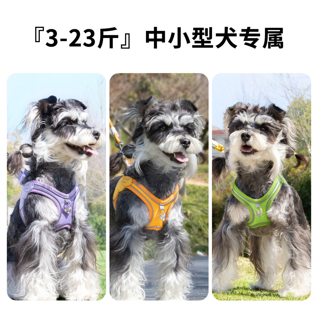 c9ce3146-b32a-494d-9bef-127a277233af