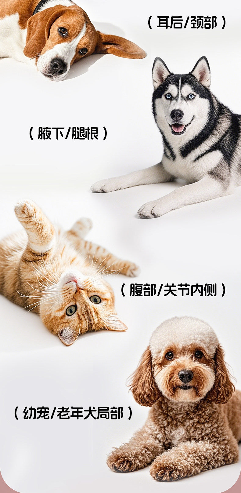 32e29739-a4bc-43fd-85b5-bb108008155d